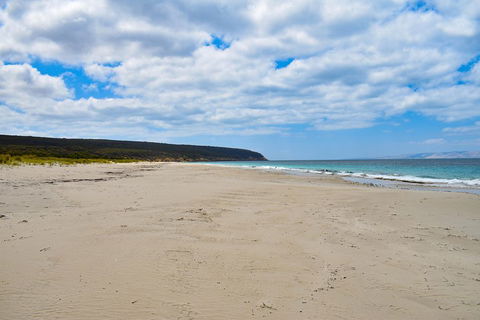 Kangaroo Island Luxury Small Group 'East End Explorer' Full Day Tour - Attractions Melbourne 3