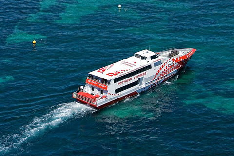 Discover Rottnest With Ferry & Bus Tour From Perth Or Fremantle - Attractions Melbourne 3