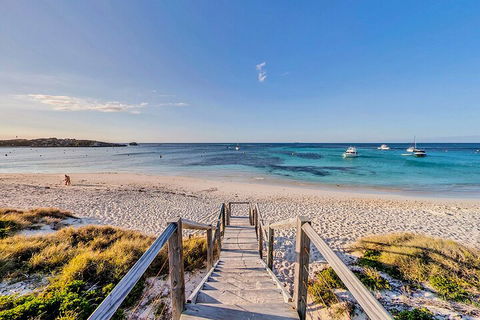 Discover Rottnest With Ferry & Bus Tour From Perth Or Fremantle - Attractions Melbourne 4