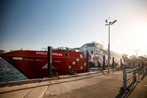 Rottnest Island Round-Trip Ferry From Perth Or Fremantle - Attractions Melbourne 2