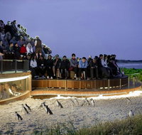 2-Day Great Ocean Road Mornington Peninsula and Phillip Island Tour - Attractions Melbourne