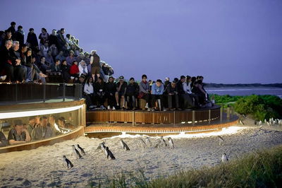 2-Day Great Ocean Road Mornington Peninsula and Phillip Island Tour