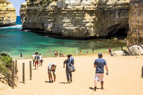 Small-Group Great Ocean Road Classic Day Tour From Melbourne - Attractions Melbourne 5