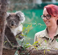 Small-Group Phillip Island Penguin Parade Day Tour from Melbourne - Attractions Melbourne