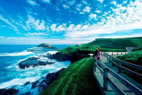 Puffing Billy, Moonlit Sanctuary & Penguins Day Tour - Attractions Melbourne 2