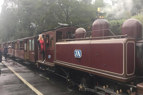 Puffing Billy, Moonlit Sanctuary & Penguins Day Tour - Attractions Melbourne 4