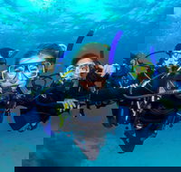 Great Barrier Reef Diving and Snorkeling Cruise from Cairns - Attractions Melbourne