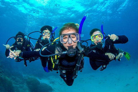 Great Barrier Reef Diving And Snorkeling Cruise From Cairns - Attractions Melbourne 0