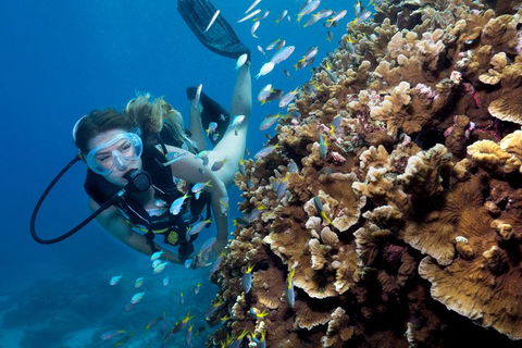 Great Barrier Reef Diving And Snorkeling Cruise From Cairns - Attractions Melbourne 1