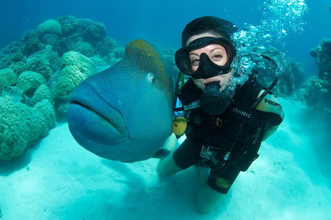 Great Barrier Reef Diving And Snorkeling Cruise From Cairns - Attractions Melbourne 2