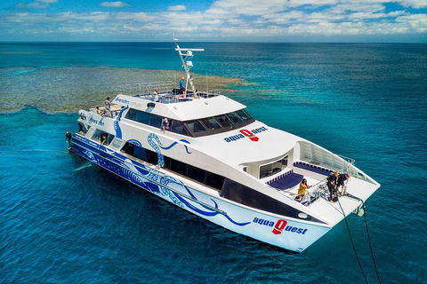 Great Barrier Reef Diving And Snorkeling Cruise From Cairns - Attractions Melbourne 5