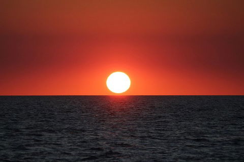 Roebuck Bay Snubfin Dolphin Cruise - Attractions Melbourne 3