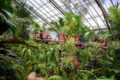 Australian Butterfly Sanctuary - Attractions Melbourne 0