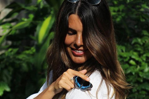 Australian Butterfly Sanctuary - Attractions Melbourne 2