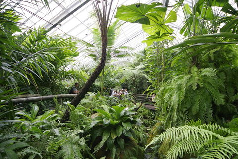 Australian Butterfly Sanctuary - Attractions Melbourne 3