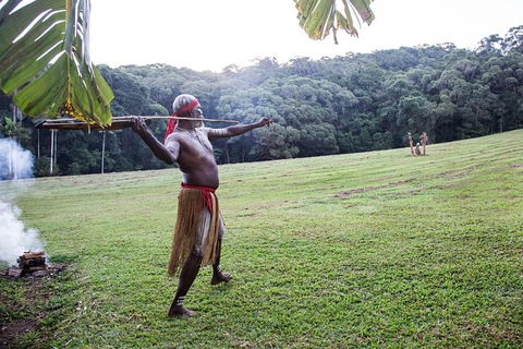 Classic Kuranda By Skyrail And Scenic Railway Including Rainforestation, Koala And Wildlife Park And Pamagirri Aboriginal Experi - Attractions Melbourne 5