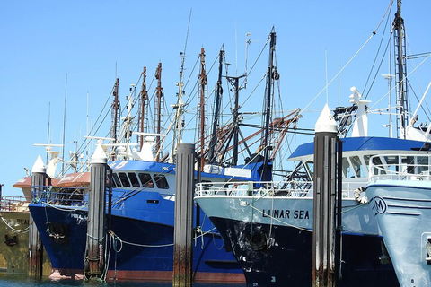 One Day Port Lincoln Tour - Tasting Eyre - Attractions Melbourne 0