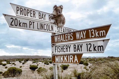 One Day Port Lincoln Tour - Tasting Eyre - Attractions Melbourne 2