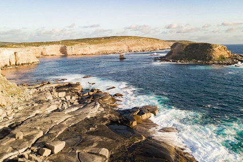 One Day Port Lincoln Tour - Tasting Eyre - Attractions Melbourne 3