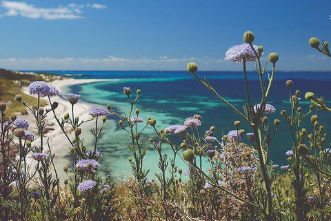 Rottnest Island Full-Day Trip With Guided Island Tour From Perth - Attractions Melbourne 2