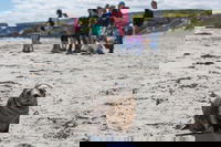 Book Viator Accommodation Vacations Attractions Melbourne Attractions Melbourne