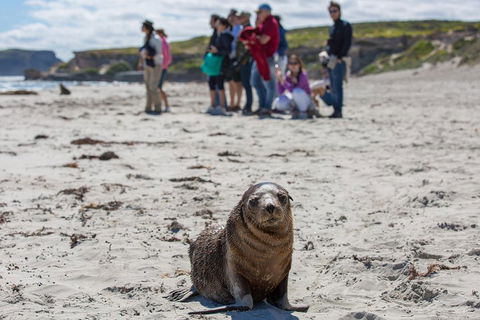 Kangaroo Island In A Day Tour From Adelaide - Attractions Melbourne 0