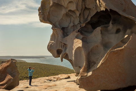 Kangaroo Island In A Day Tour From Adelaide - Attractions Melbourne 5