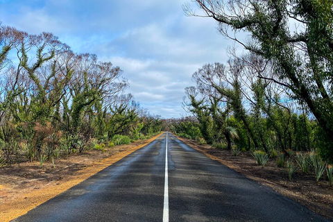 2 Day Ultimate Kangaroo Island With Return Ferry - Attractions Melbourne 4
