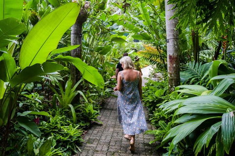 Cairns City Sights And Surrounds Tour - Attractions Melbourne 2