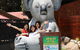 Kuranda Koala Gardens And Birdworld Admission Tickets - thumb 3