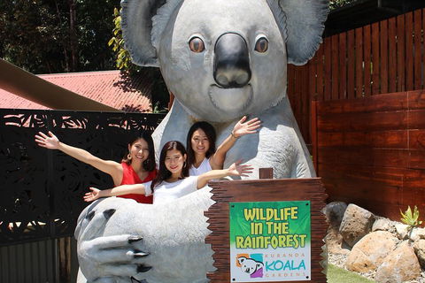Kuranda Koala Gardens And Birdworld Admission Tickets - Attractions Melbourne 3