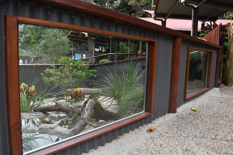 Kuranda Koala Gardens And Birdworld Admission Tickets - Attractions Melbourne 4