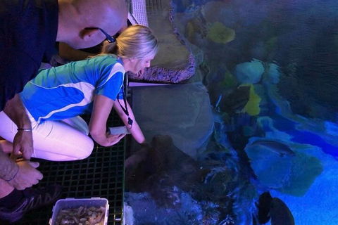 Cairns Aquarium Marine Life Encounter Ticket With 2-Course Lunch - Attractions Melbourne 2
