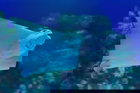 Cairns Aquarium Family Ticket