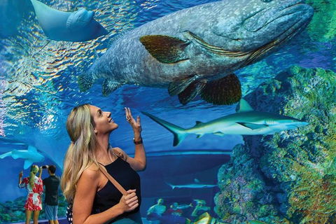 Cairns Aquarium Family Ticket - Attractions Melbourne 3