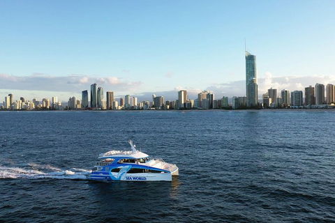 Whale Watching By Sea World Cruises - Attractions Melbourne 1