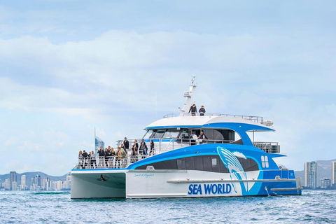 Whale Watching By Sea World Cruises - Attractions Melbourne 3