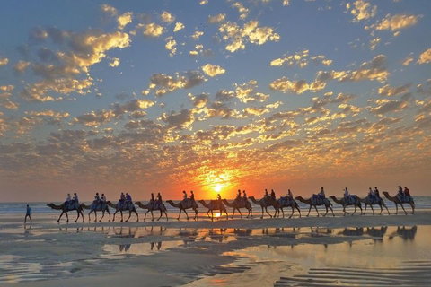 Broome City Sightseeing Tour With Optional Camel Ride - Attractions Melbourne 1