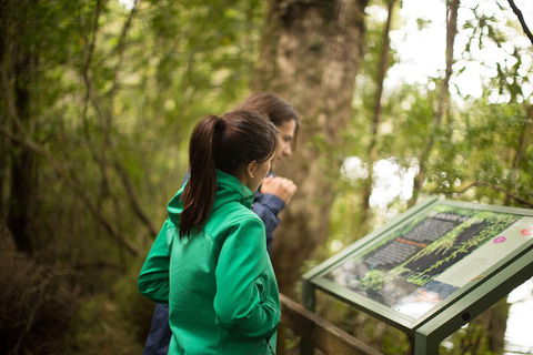Strahan Day Trip By Air From Hobart Including A Gordon River Cruise - Attractions Melbourne 5