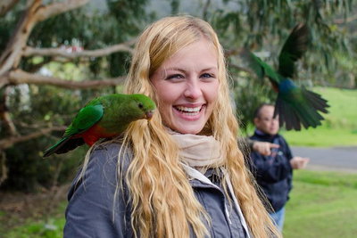 Great Ocean Road Reverse Itinerary with 12 Apostles from Melbourne