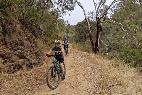 Mount Lofty Descent Bike Tour From Adelaide - Attractions Melbourne 0