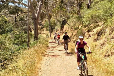 Mount Lofty Descent Bike Tour From Adelaide - Attractions Melbourne 3