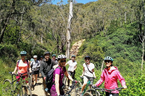 Mount Lofty Descent Bike Tour From Adelaide - Attractions Melbourne 5