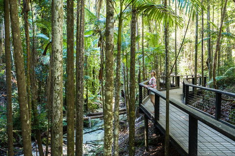 All-Inclusive Fraser Island Day Tour - Attractions Melbourne 5