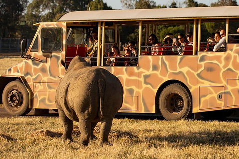 Sunset Safari At Werribee Open Range Zoo - Attractions Melbourne 5