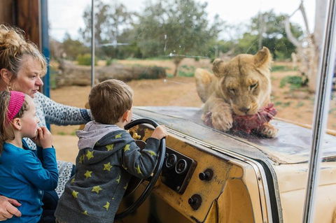Werribee Open Range Zoo General Admission Ticket - Attractions Melbourne 4