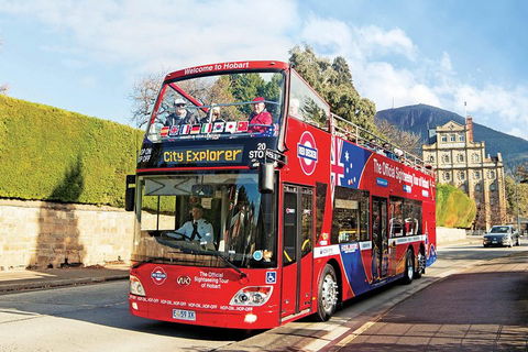 Hobart Hop-On Hop-Off Bus & Kunanyi/Mt Wellington Tour - Attractions Melbourne 4