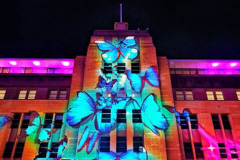 Vivid 90-Minute Sydney Harbour Small Group Catamaran Cruise - Attractions Melbourne 0
