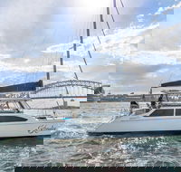 Vivid 90-Minute Sydney Harbour Catamaran Cruise with BYO Drinks - Attractions Melbourne