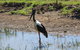 Darwin To Kakadu Day Trip By Air Including Yellow Water Cruise - thumb 0